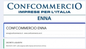 Decreto liquidità: raccolta dati sulle esigenze delle imprese dl territorio di Enna